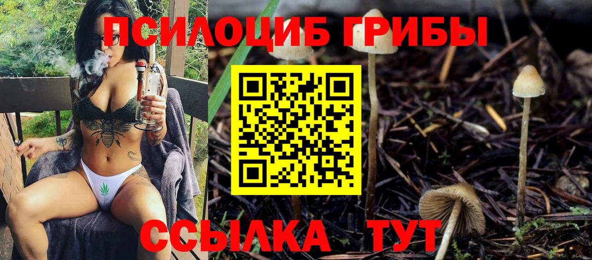 Псилоцибиновые грибы ЛСД  Вход с VPN  Псилоцибиновые грибы Psilocybine cubensis  Димитровград 