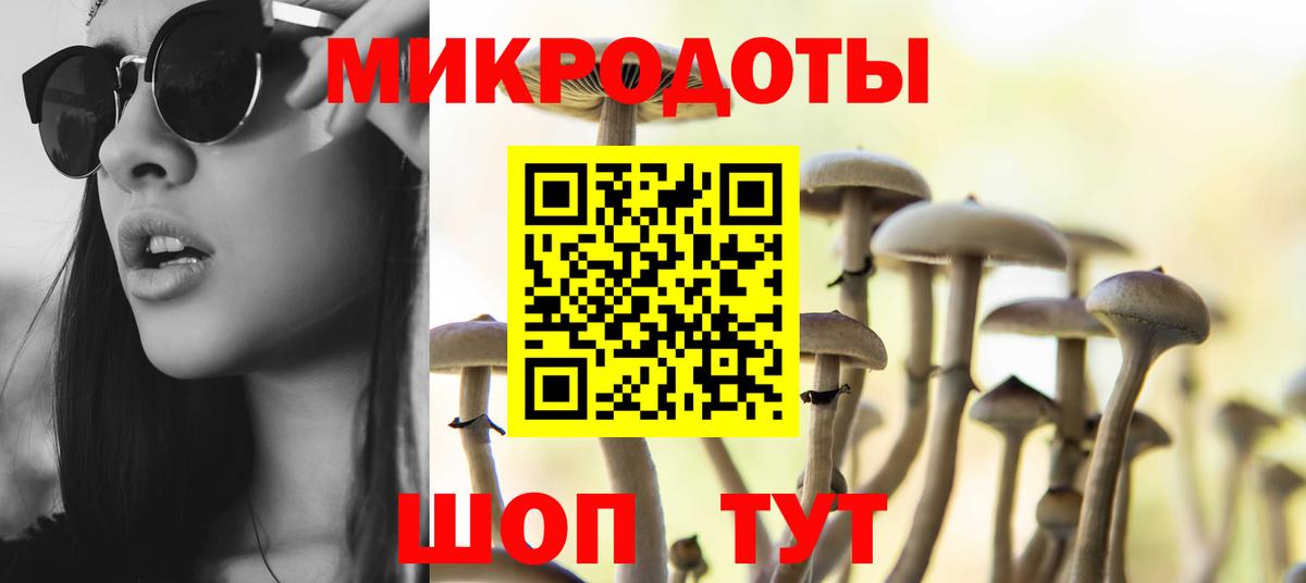 Псилоцибиновые грибы мухоморы Димитровград